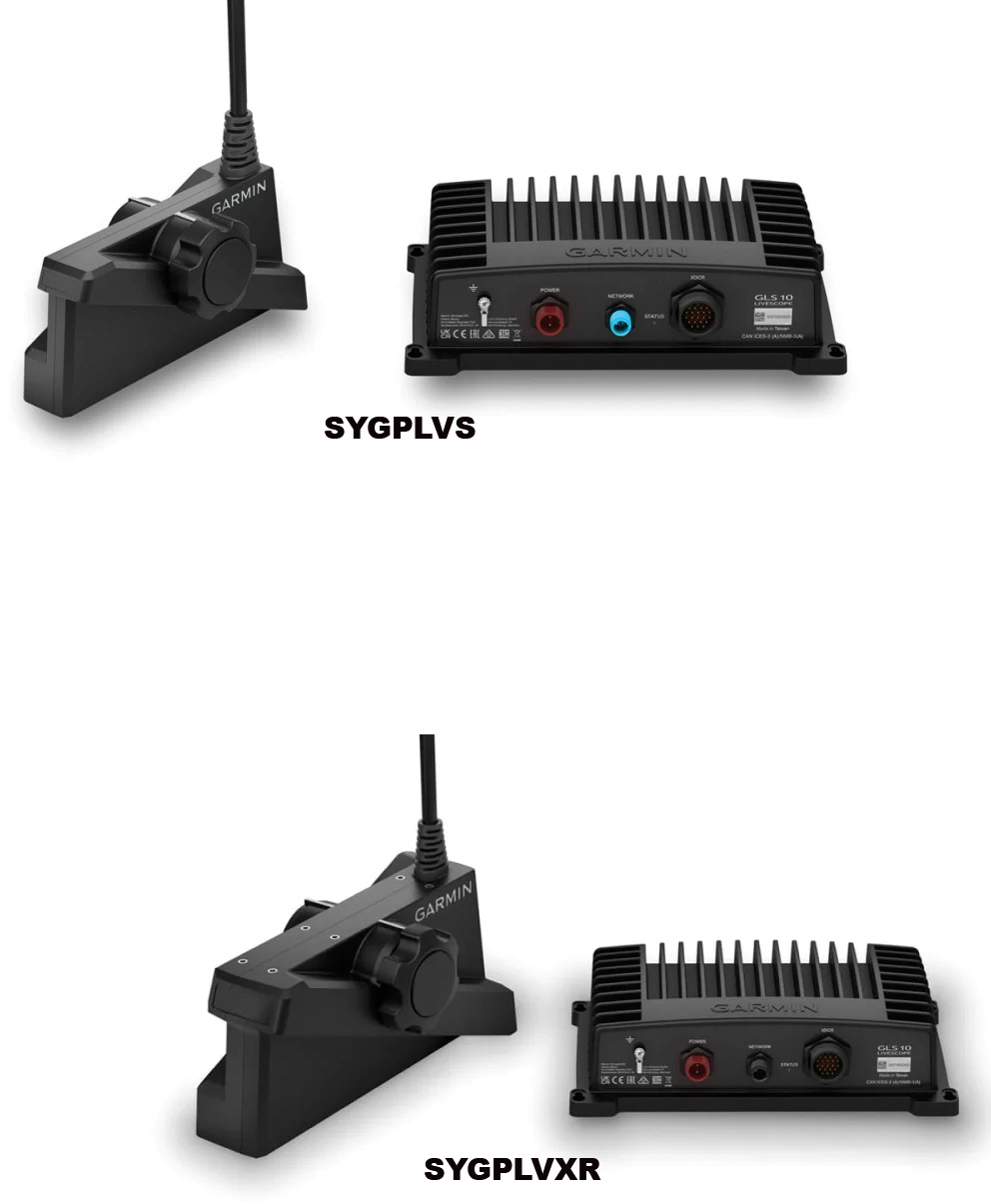 SYGPLVS