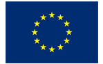 EUROPEAN COMMUNITY FLAG