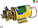 ELECTRIC PUMP WITH ELASTIC IMPELLER