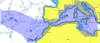 CARTUCCIA C-MAP REVEAL COASTAL
