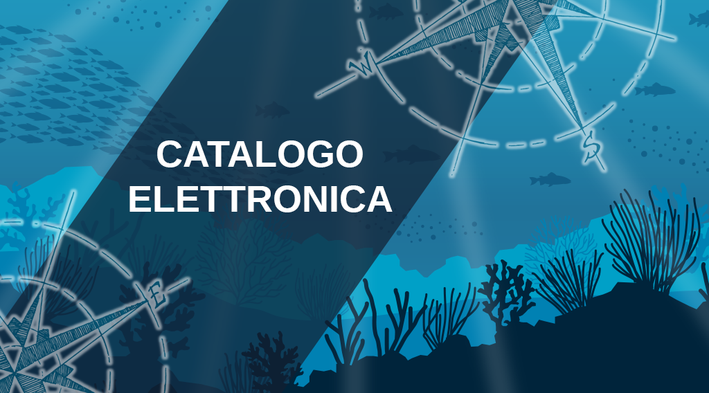 elettronica